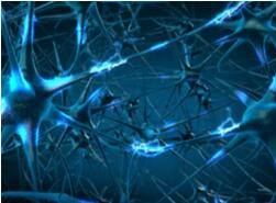 Disease Mechanism Research Based on 3Dmicroflu™