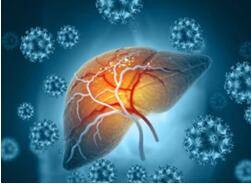 Disease Mechanism Research Based on 3Dmicroflu™