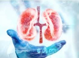 Drug Toxicology Testing Micro-model 3D Printing Service