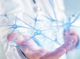 Drug Toxicology Testing Micro-model 3D Printing Service