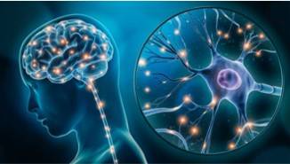 Neurological Disease Mechanism Research Based on 3Dmicroflu