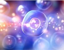 High Throughput Screening of Drugs Based on 3Dmicroflu™