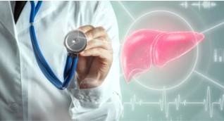 NASH Micro-model 3D Printing Service