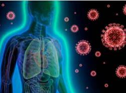 Disease Mechanism Research Based on 3Dmicroflu™