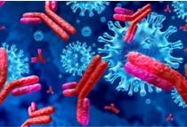 High Throughput Screening of Antibody Drug Based on 3Dmicroflu™