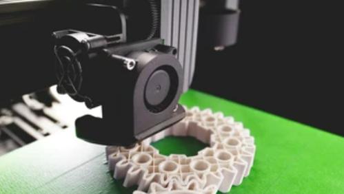 Protect the environment