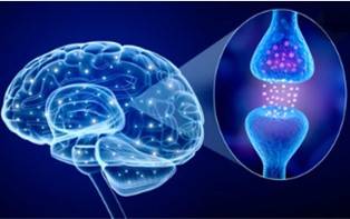 Tissue Response Mechanism Research